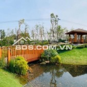 Đăng tin BĐS là công việc mất thời gian, cần kiên nhẫn. Phải nhập đủ thông tin: diện tích, giá, khu vực